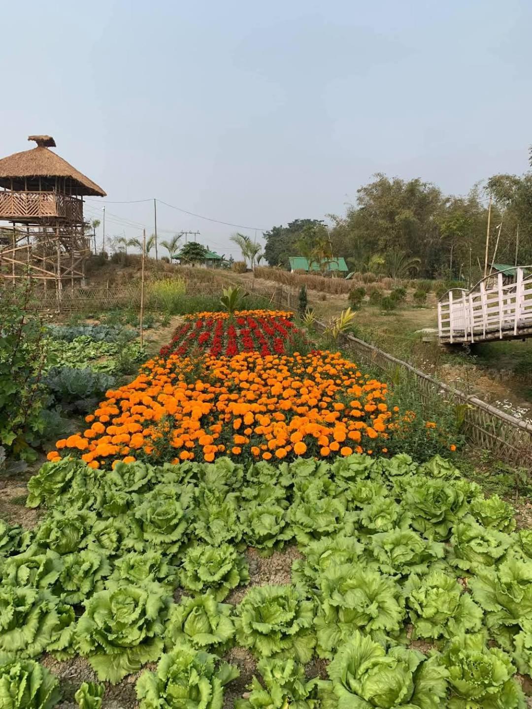 Bogibil Eco Resort New Dibrugarh Buitenkant foto