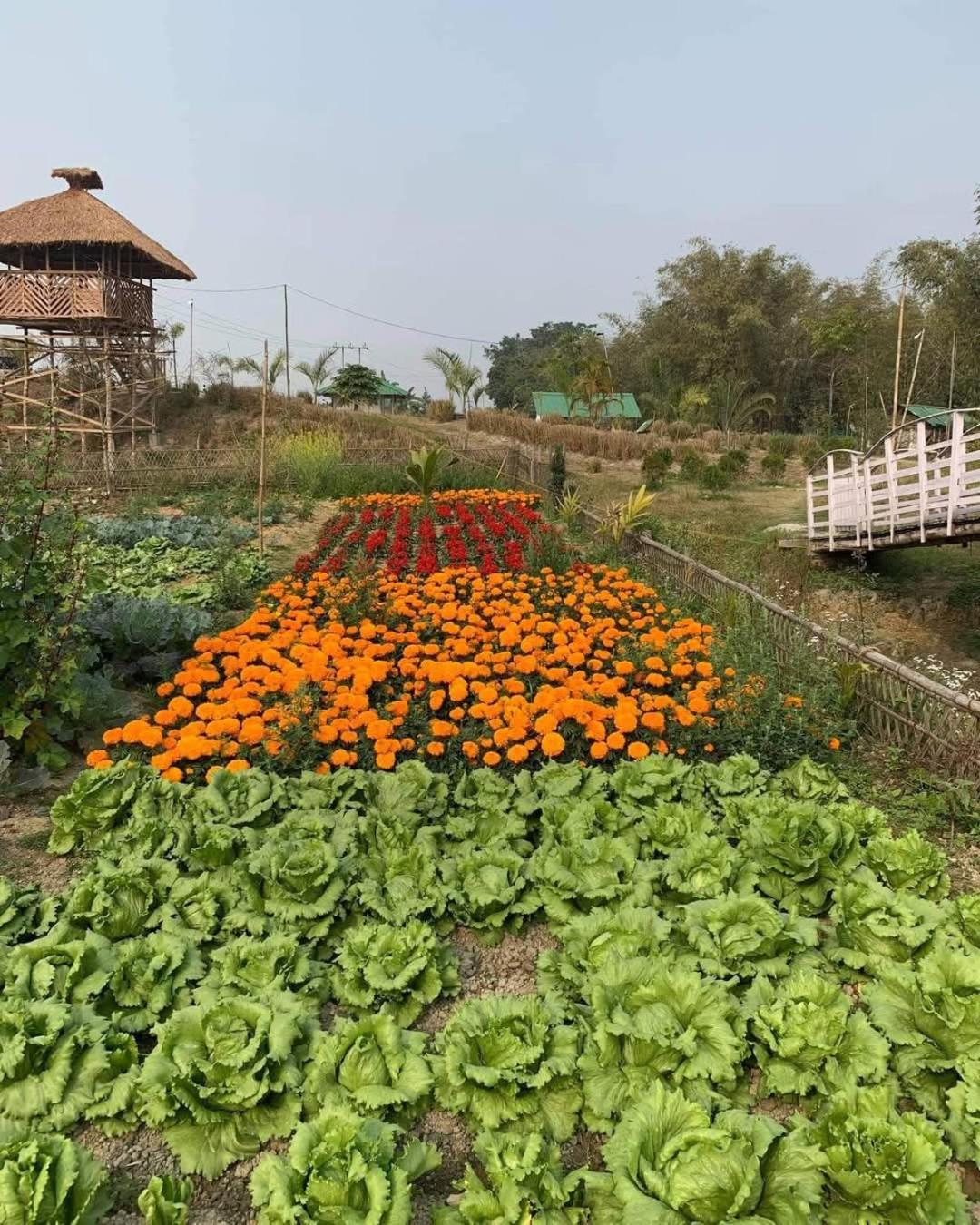 Bogibil Eco Resort New Dibrugarh Buitenkant foto