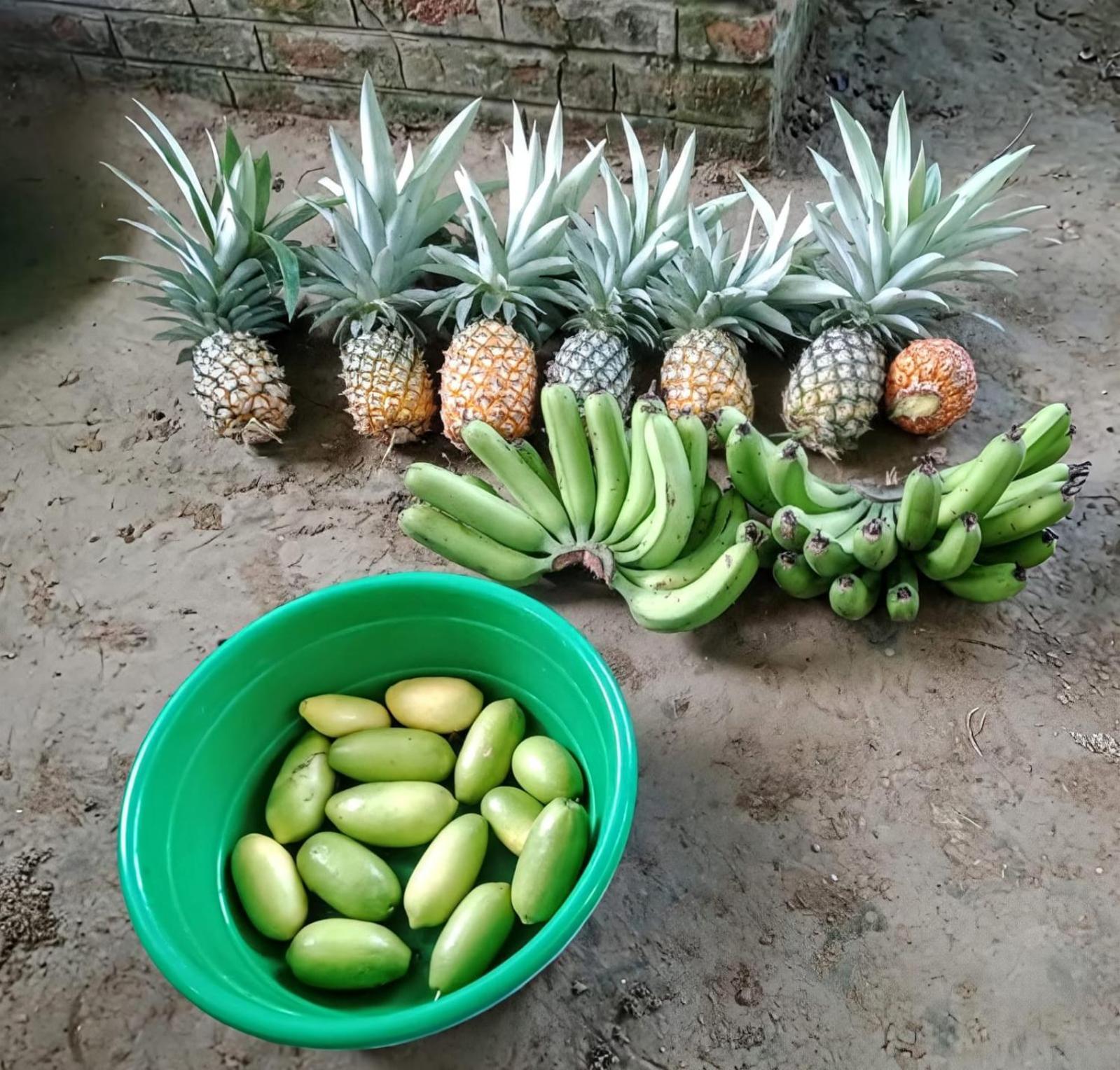 Bogibil Eco Resort New Dibrugarh Buitenkant foto