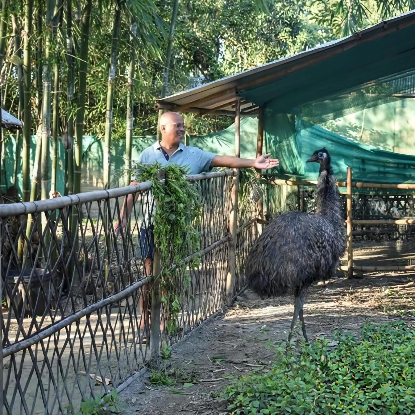 Bogibil Eco Resort New Dibrugarh Buitenkant foto